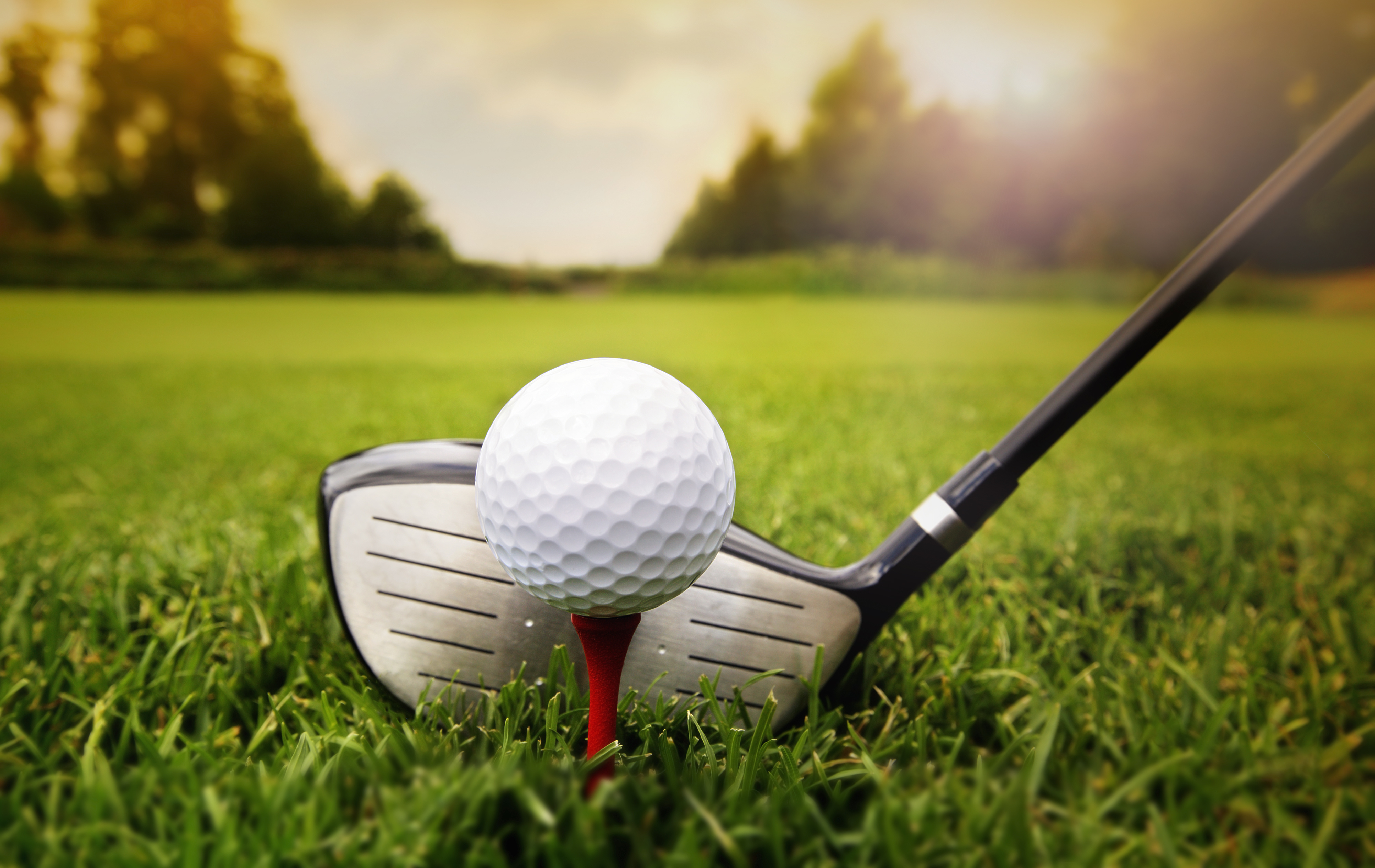 Golf - Short priced winner for our Golf Service
