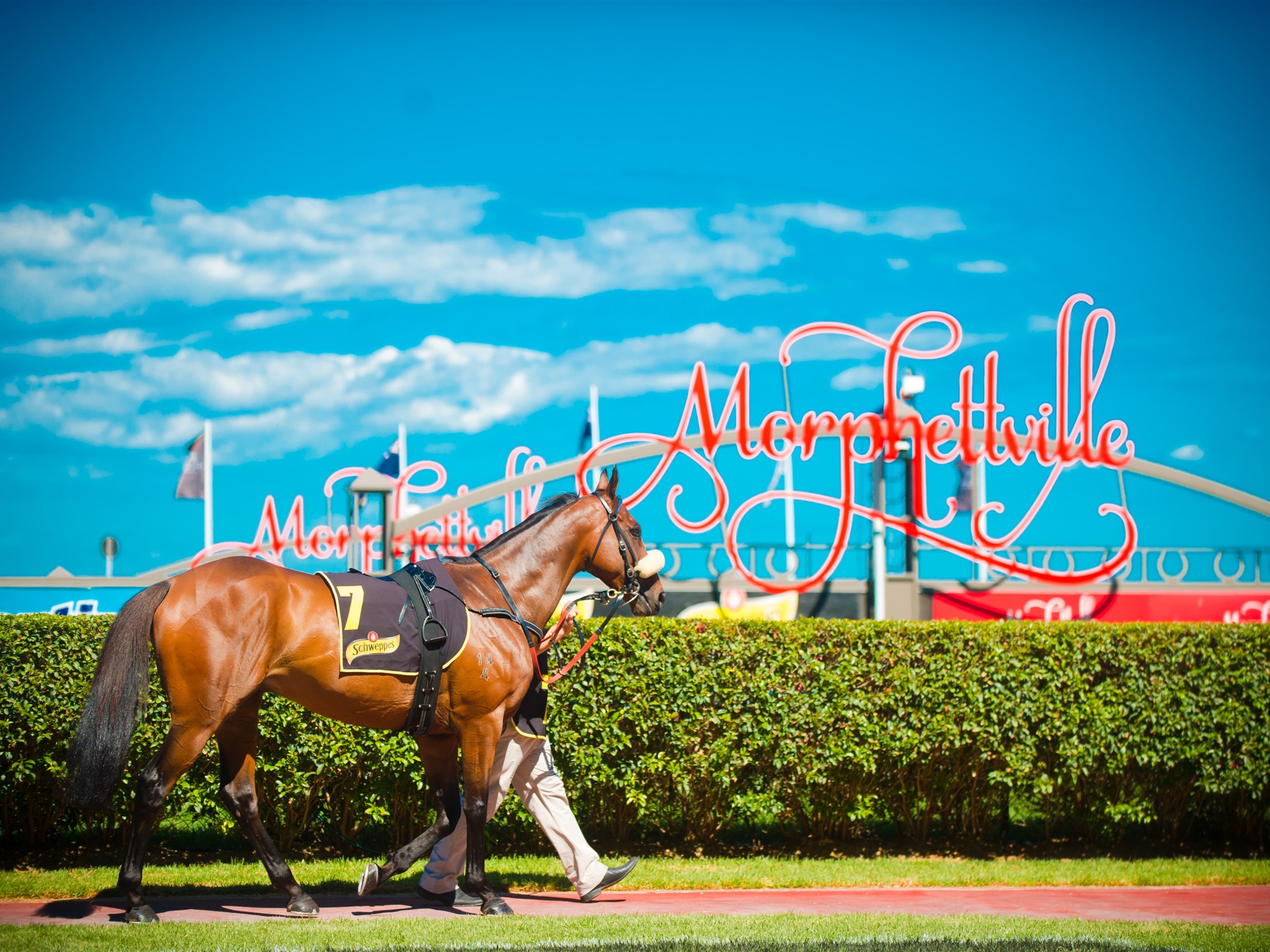 Morphettville Parks Review 4-Nov-17