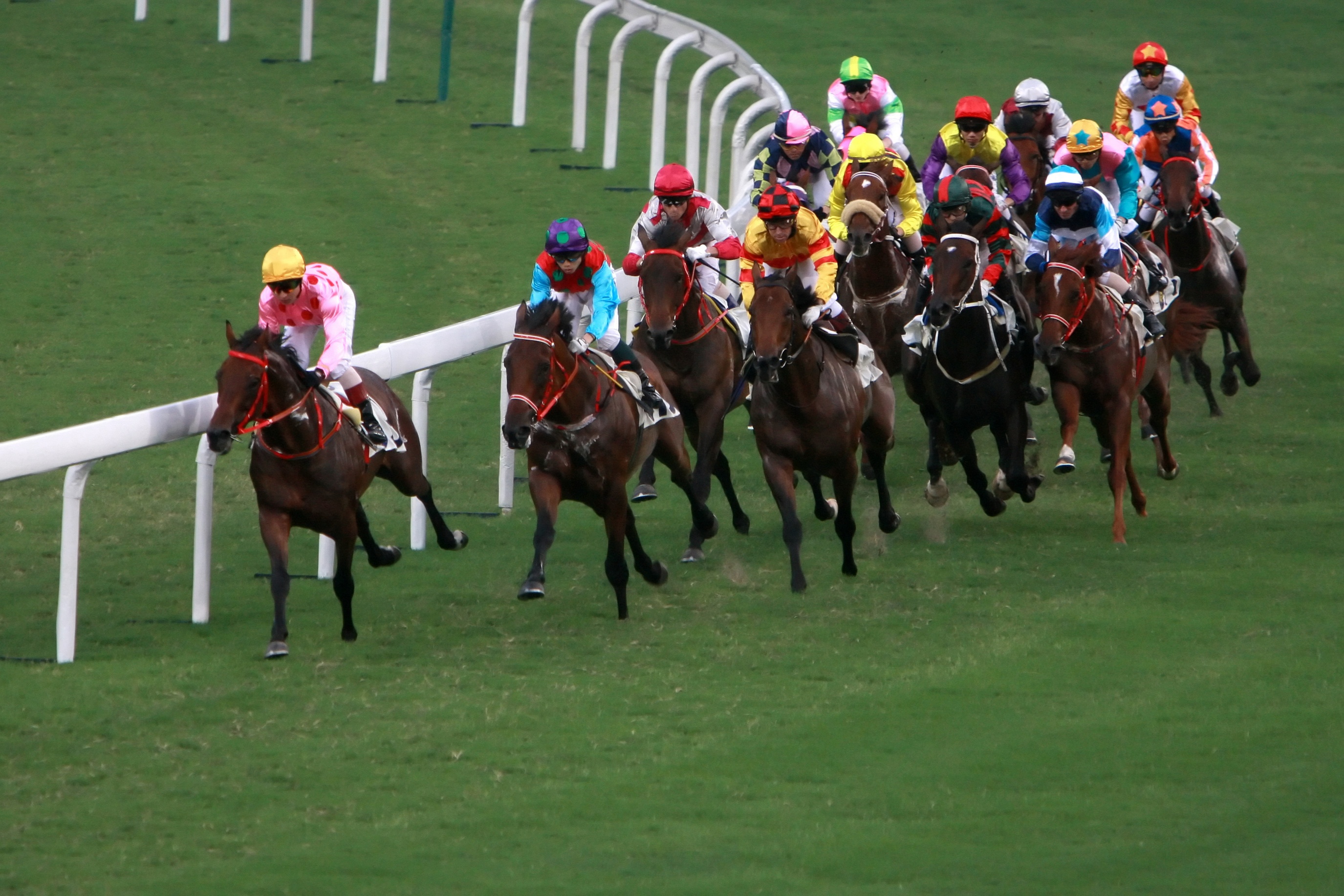 Morphettville Parks Review 11-Nov-17