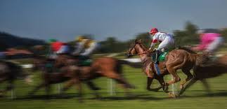 Morphettville Review 30-Dec-17