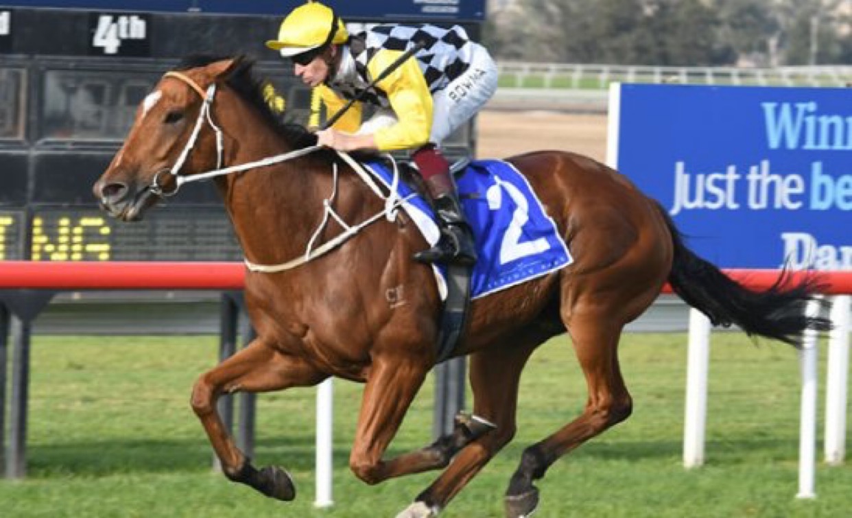 BLACKBOOK BETS  $31 WINNER YESTERDAY  