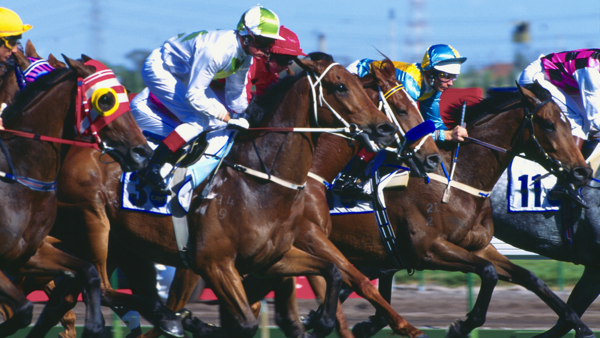 King of the Spring - Dean's Tips Dominating