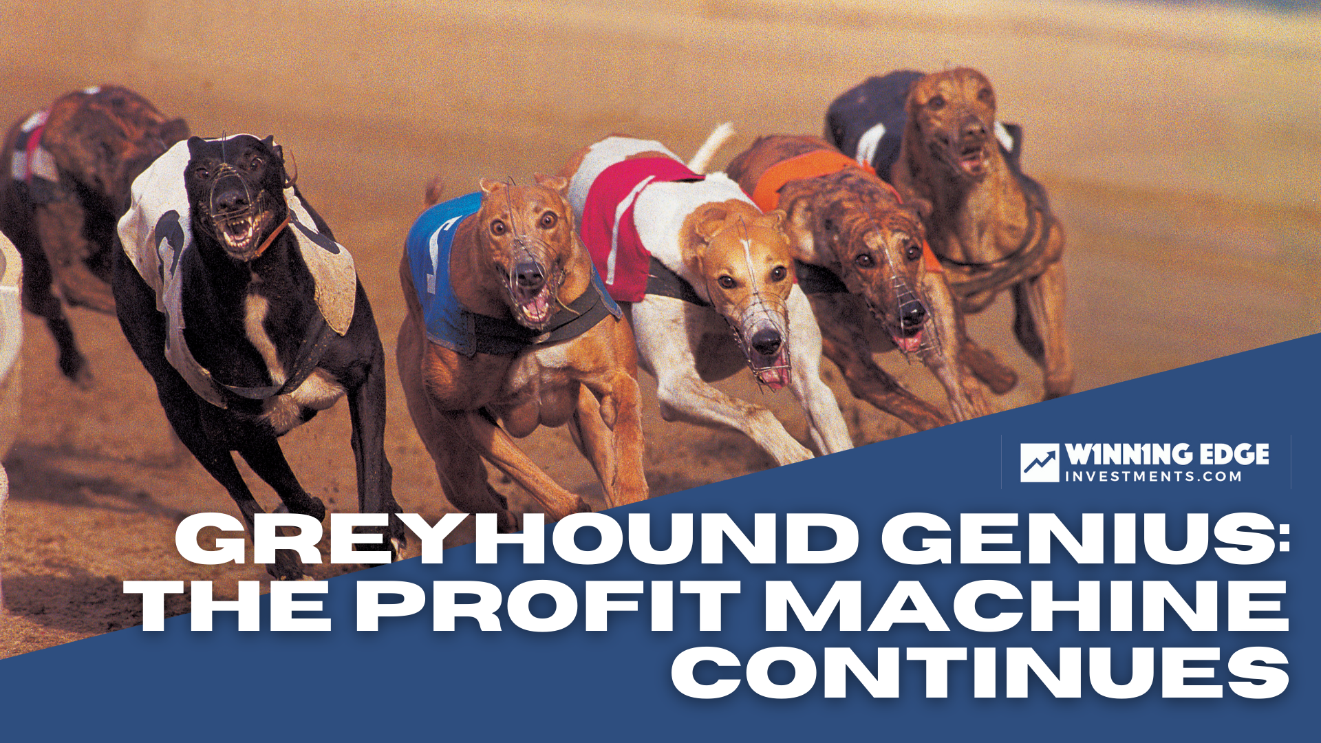 GREYHOUND GENIUS | The PROFIT MACHINE continues