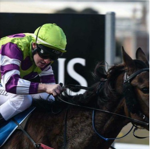 Victorian-based jockey Jason Maskiell
