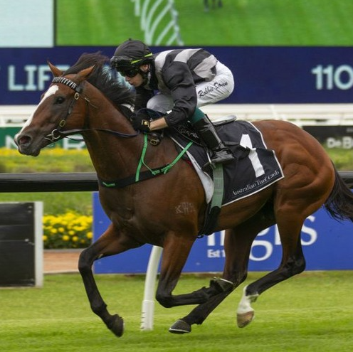 Leading Sydney apprentice jockey Robbie Dolan