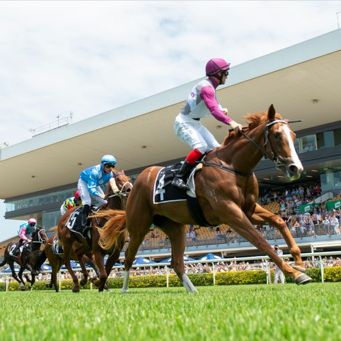 Magic Millions 2yo Classic - Jockey Dale Smith & Dusty Tycoon