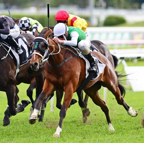 Tasmanian trainer Scott Brunton