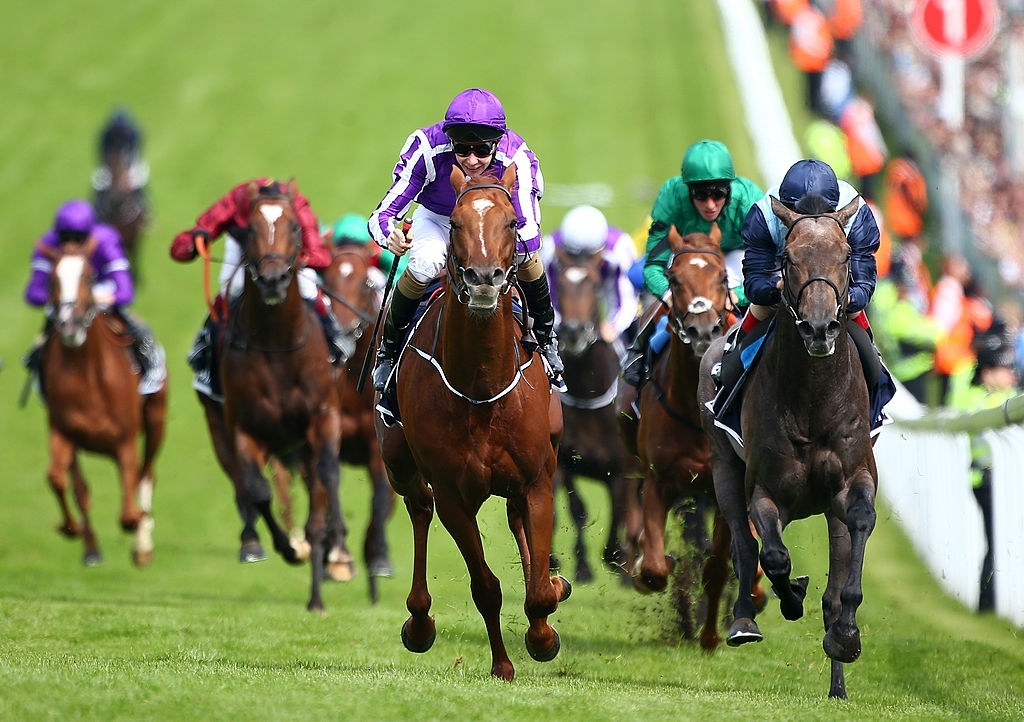 Week In Review Highlights 18-24 Jan + 20 Tips To Get The Best Possible Odds!