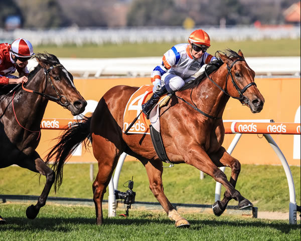 What To Wear: Major Horse Races