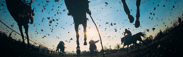 Trifectas in horse race betting