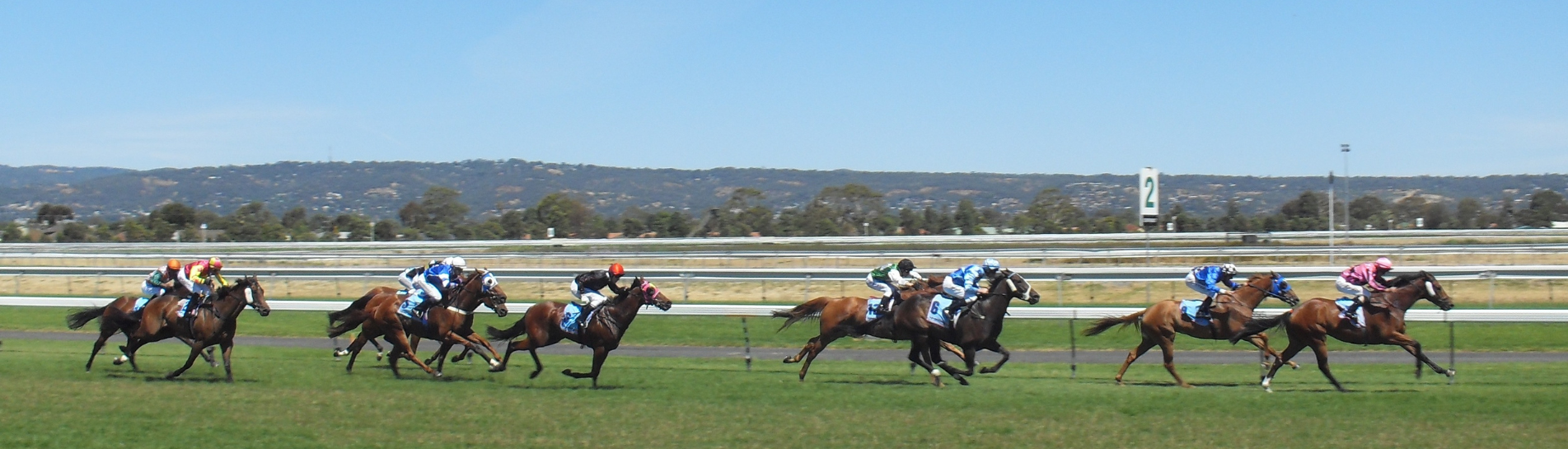 Saturday Newsletter 28 December 2024